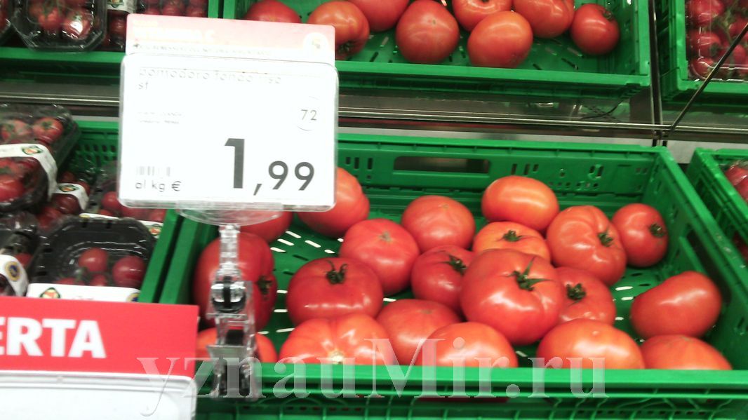 Цены в Италии на помидоры